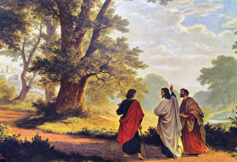 Expanding our Circles